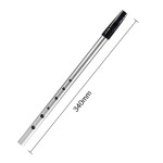 MAYA WHISTLE C пеннівістл