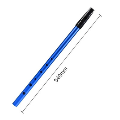 MAYA WHISTLE C пеннівістл