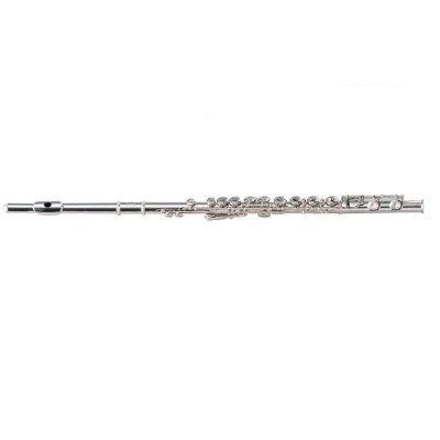 MAXTONE TFC60N флейта