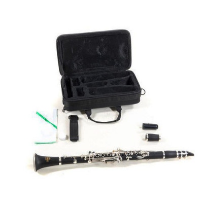 ROY BENSON CB-318 (RB700457) кларнет 