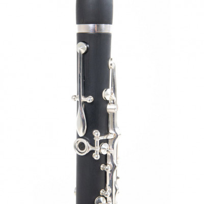 ROY BENSON CB-318 (RB700457) кларнет 