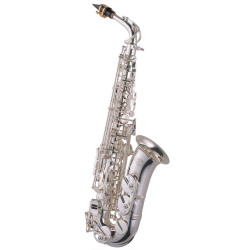 J.MICHAEL AL-900SL (S) ALTO SAXOPHONE J.MICHAEL AL-900SL (S) ALTO SAXOPHONE