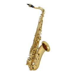 MAXTONE SXC51 T/L MAXTONE SXC51 T/L