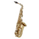 MAXTONE SXC21 A / L