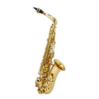 MAXTONE SXC51 A/L