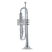 J.MICHAEL TR-300SA (S) TRUMPET