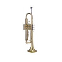 MAXTONE TTC23L