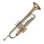 MAXTONE TTC23L труба