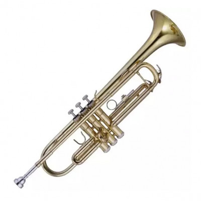 MAXTONE TTC23L труба