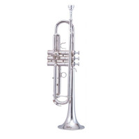 MAXTONE TTC60N2 (TTC234N) 