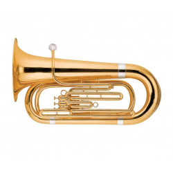 MAXTONE TTC53L1 (TTC99L)