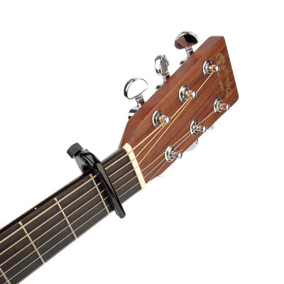 D'ADDARIO PW-CP-02 PRO CAPO каподастр