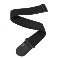 D'ADDARIO PWS100 