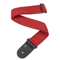 D'ADDARIO PWS101