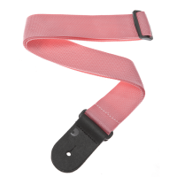 D'ADDARIO PWS106
