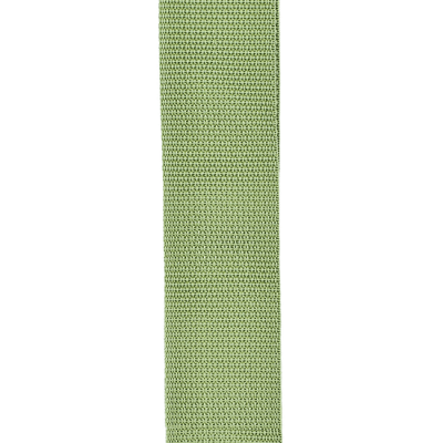 D'ADDARIO PWS107 гитарный ремень