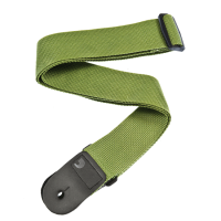 D'ADDARIO PWS107