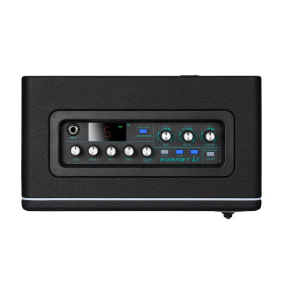 MOOER Hornet 15W Li Black комбоусилитель