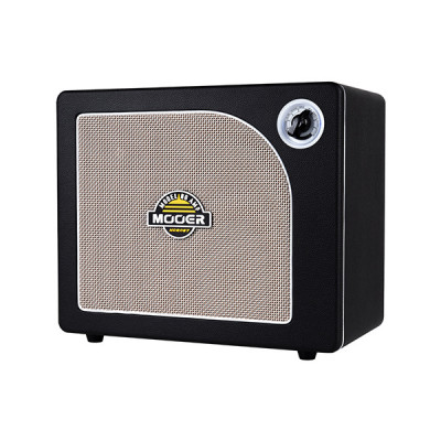 MOOER HORNET 30 BLACK комбопідсилювач