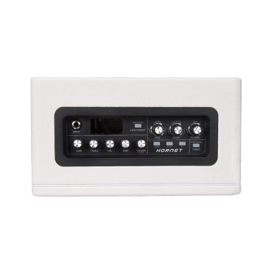 MOOER HORNET WHITE комбоусилитель 