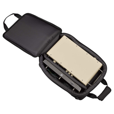 YAMAHA THRHBG1 THR100 AMP BAG сумка для гитарного усилителя