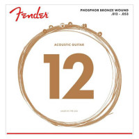 FENDER 60L PHOSPHOR BRONZE WOUND (12-53)