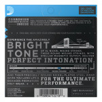 D'ADDARIO EJ20 XL NICKEL WOUND JAZZ EXTRA LIGHT (10-49) струни для електрогітари