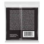 ERNIE BALL P02246 REGULAR SLINKY STAINLESS STEEL WOUND (10-46) струни для електрогітари