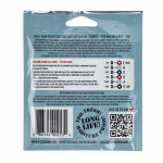 ROTOSOUND BS9 BRITISH STEELS SUPER LIGHT (09-42) струни для електрогітари