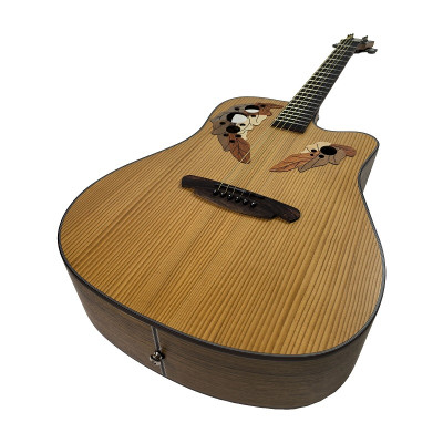 Toneberg TQ-PS акустична гітара