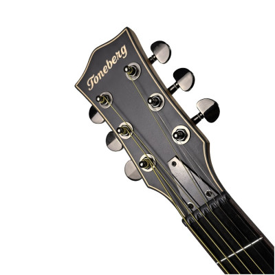 Toneberg TQ-PS акустична гітара