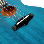 ENYA EUS-25 D/BLUE SOLID MAHOGANY укулеле сопрано