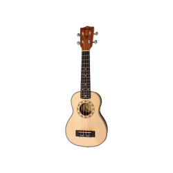 PARKSONS UK21C