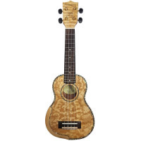 PARKSONS UK21FS