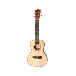 PARKSONS UK24C