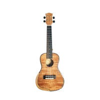 PARKSONS UK24MS