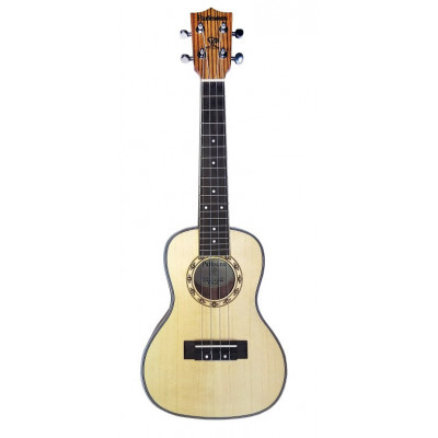 PARKSONS UK24Z укулеле концертне