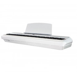 PEARL RIVER P60WH