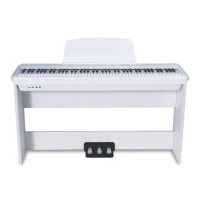 PEARL RIVER P60WH+"W"