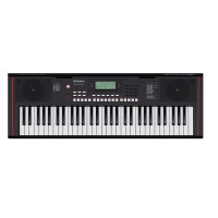Roland E-X10