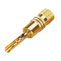 SOUNDKING CG124