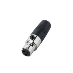 Bespeco XLR3FXS