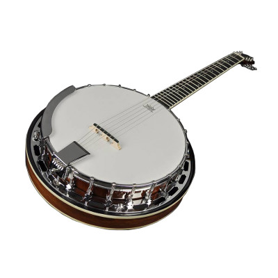 RICHWOOD RMB-606 гітарне банджо 