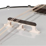 RICHWOOD RMBM-408 банджо 