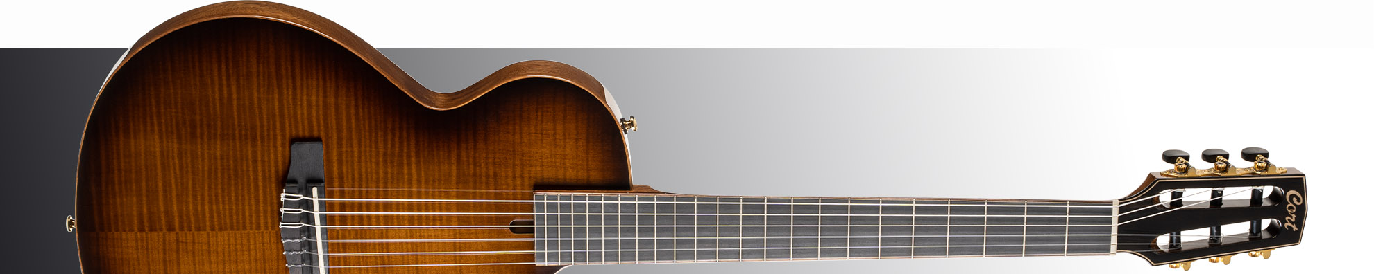 Тихі гітари