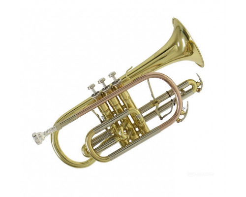 Флюгельгорни