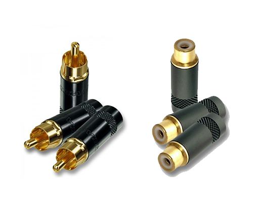 RCA (Тюльпан)