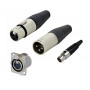 XLR